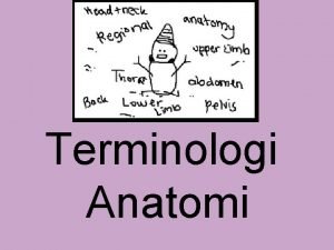 Anatomi terminologi