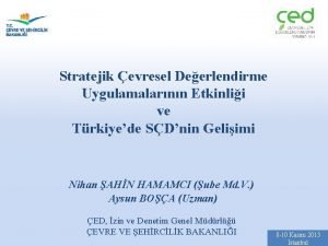 Stratejik evresel Deerlendirme Uygulamalarnn Etkinlii ve Trkiyede SDnin