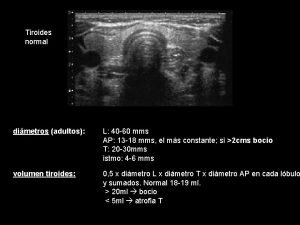 Volumen tiroideo normal en adultos