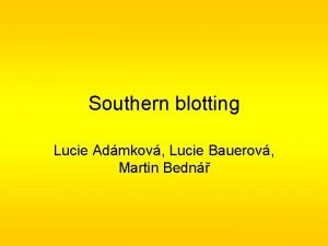Southern blotting Lucie Admkov Lucie Bauerov Martin Bedn