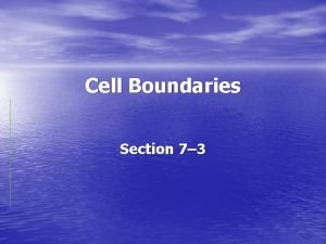 Section 7 3 cell boundaries answers