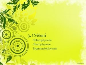 3 Cvien Chlorophyceae Charophyceae Zygnematophyceae Zelen asy Vvojov