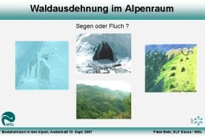 Waldausdehnung im Alpenraum Segen oder Fluch Sylvia Vananderoye