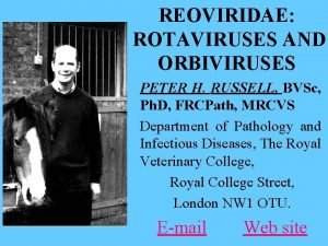 REOVIRIDAE ROTAVIRUSES AND ORBIVIRUSES PETER H RUSSELL BVSc
