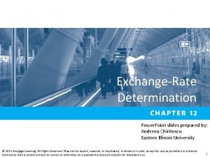 ExchangeRate Determination Power Point slides prepared by Andreea