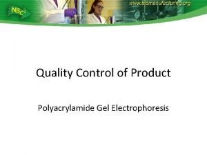Quality Control of Product Polyacrylamide Gel Electrophoresis Analysis
