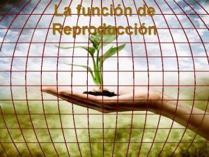 La funcin de Reproduccin La reproduccin es una