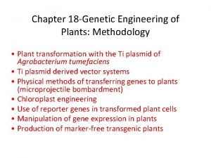 Chapter 18 Genetic Engineering of Plants Methodology Plant