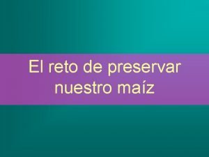 El reto de preservar nuestro maz La domesticacin