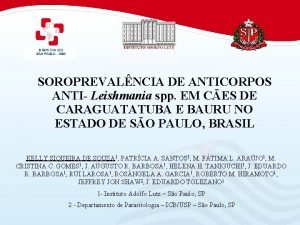 SOROPREVALNCIA DE ANTICORPOS ANTI Leishmania spp EM CES