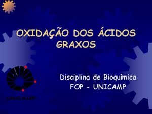 OXIDAO DOS CIDOS GRAXOS Disciplina de Bioqumica FOP