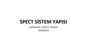 SPECT SSTEM YAPISI HAZIRLAYAN AYEGL TRKKOL 1031020325 SPECT