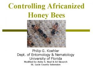 Controlling Africanized Honey Bees Philip G Koehler Dept