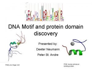 DNA Motif and protein domain discovery Presented by