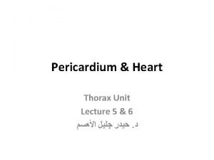 Pericardial sinus