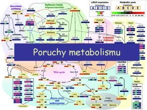 Poruchy metabolismu Osnova Blkoviny Sacharidy Tuky Makronutrienty Vitamny