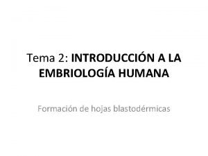 Tema 2 INTRODUCCIN A LA EMBRIOLOGA HUMANA Formacin