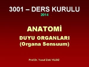 3001 DERS KURULU 2014 ANATOM DUYU ORGANLARI Organa