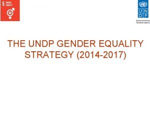 THE UNDP GENDER EQUALITY STRATEGY 2014 2017 The