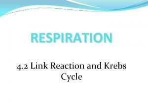 RESPIRATION 4 2 Link Reaction and Krebs Cycle