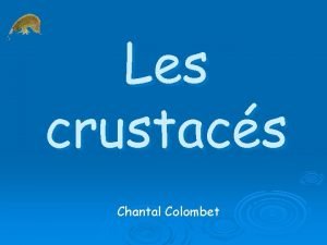 Les crustacs Chantal Colombet Situation phylogntique Les crustacs