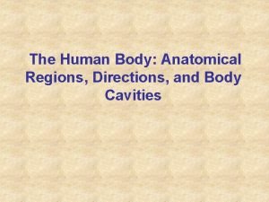 The Human Body Anatomical Regions Directions and Body