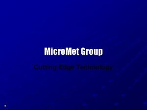 Micro Met Group Cutting Edge Technology Corporate Structure