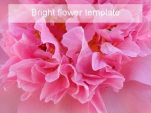 Bright flower template Example bullet point slide Bullet