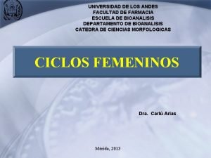 Ciclo tubarico