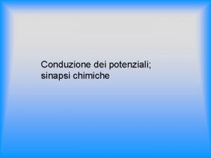 Sinapsi interneuroniche