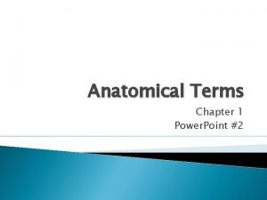 Anatomical Terms Chapter 1 Power Point 2 Anatomical
