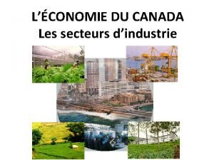LCONOMIE DU CANADA Les secteurs dindustrie Rflchissez sur