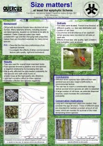 Size matters at least for epiphytic lichens Final