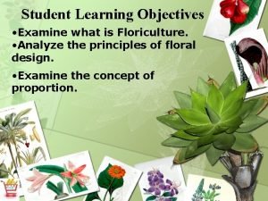 Objectives of floriculture