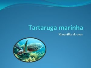 Tartaruga marinha ficha tecnica