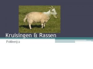 Kruisingen Rassen Fokkerij 2 Kruisen Waarom zou je