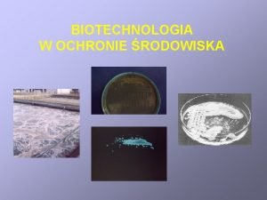 BIOTECHNOLOGIA W OCHRONIE RODOWISKA Program wykadw 1 Przedmiot