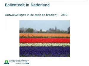 Bollenteelt in Nederland Ontwikkelingen in de teelt en