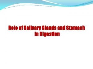 Role of Salivary Glands and Stomach in Digestion