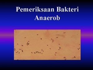 Pemeriksaan Bakteri Anaerob KLASIFIKASI BAKTERI BERDASAR KEBUTUHAN O