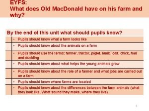 EYFS What does Old Mac Donald have on