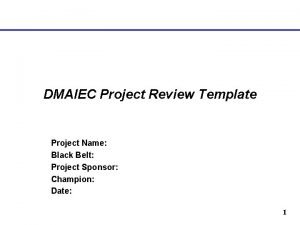 DMAIEC Project Review Template Project Name Black Belt