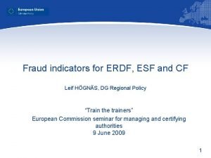 Fraud indicators for ERDF ESF and CF Leif