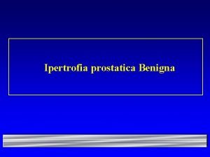 Ipertrofia prostatica Benigna Le vescicole seminali Luretra maschile