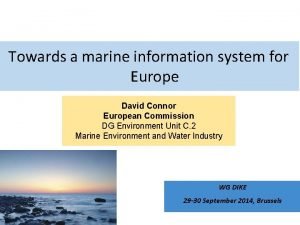 Towards a marine information system for Europe David