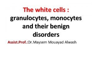 Monocytes function