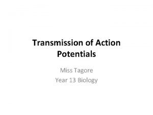 Transmission of Action Potentials Miss Tagore Year 13