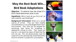 Evolution may the best beak win