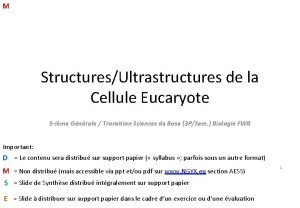 Ultrastructure de la cellule eucaryote