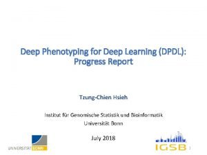 Deep Phenotyping for Deep Learning DPDL Progress Report